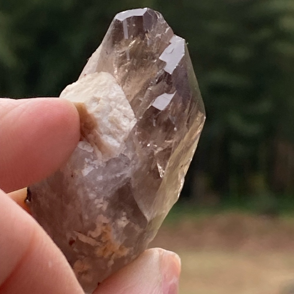 Smoky Quartz with Aegirine from Malawi, South Africa - Picture 5 of 15